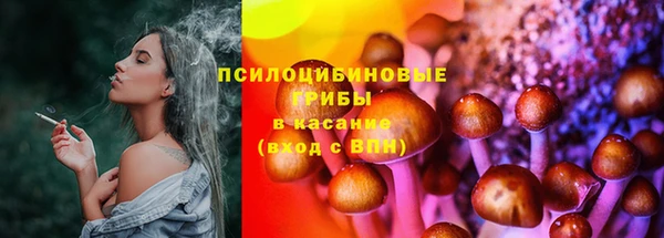 марки lsd Богданович